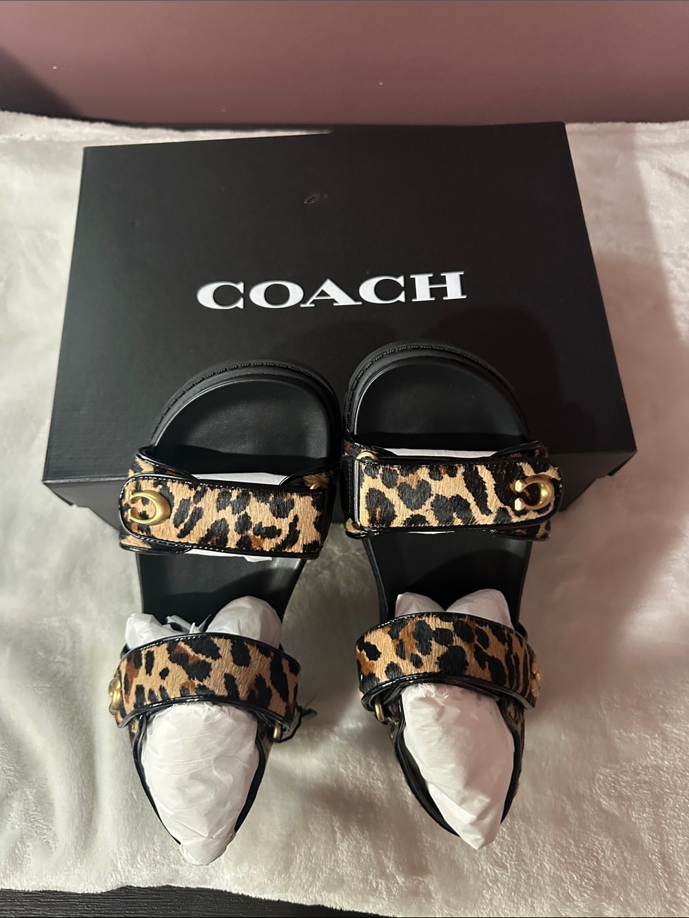 Coach Leopard-Print Slide Sandals in Black and Tan